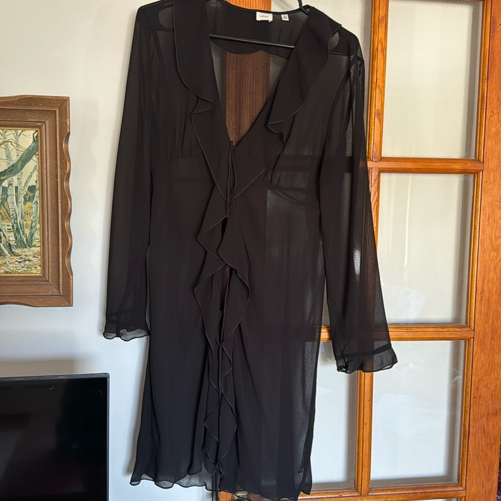 Aritizia sheer ruffle dress